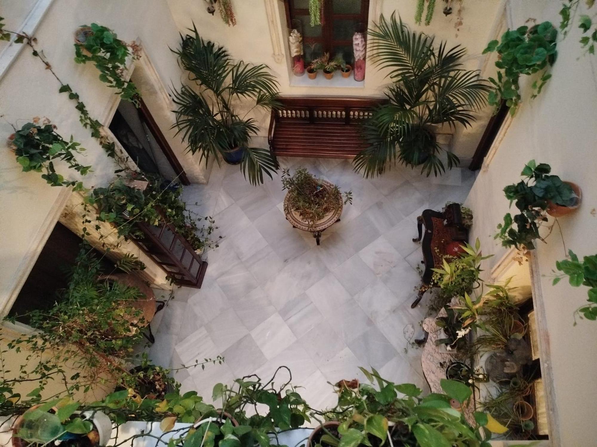 Homestay Andaluzas
