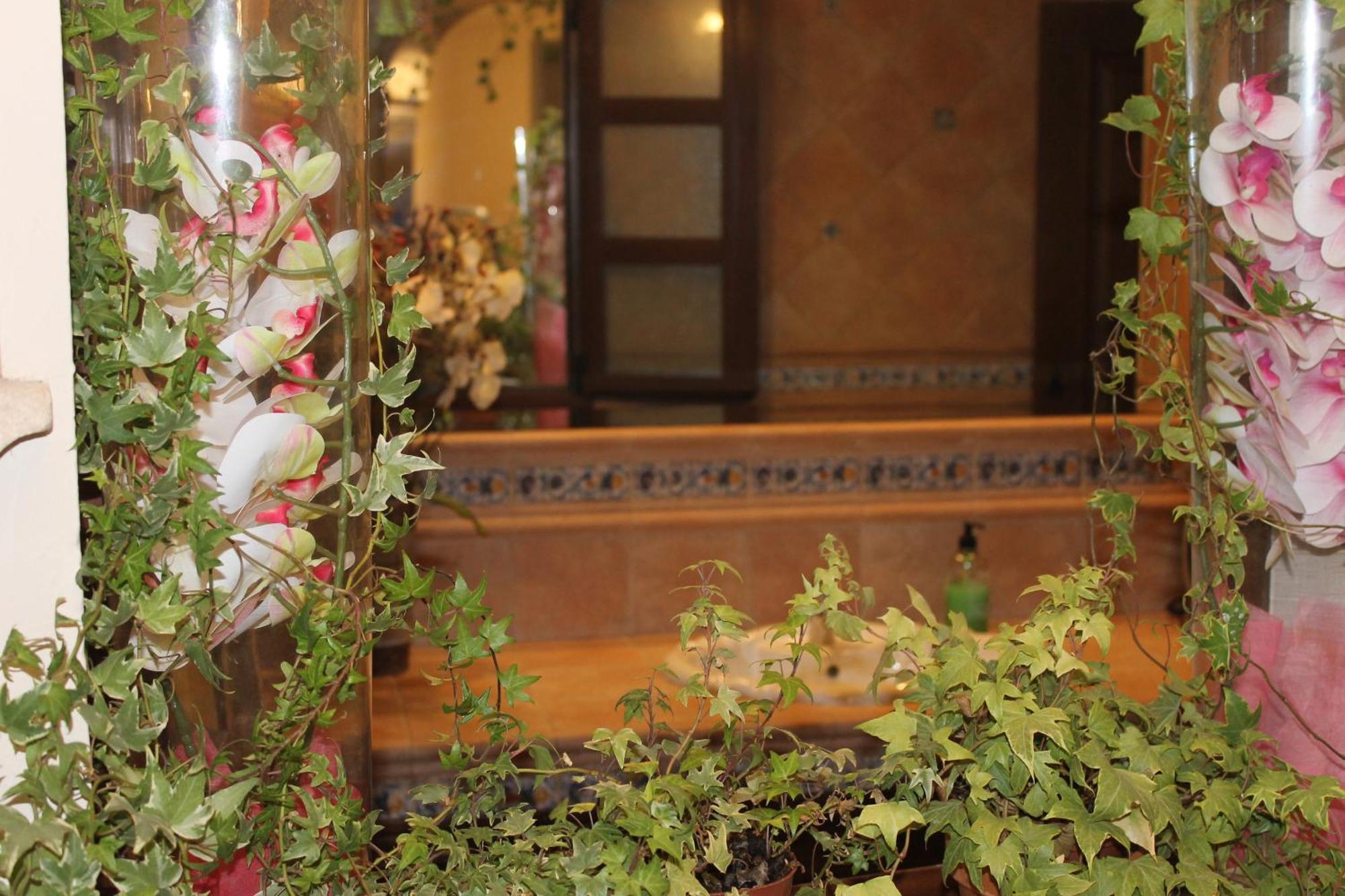 Homestay Andaluzas